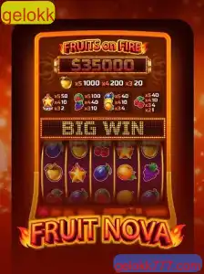 Descubra o Jogo FruitNova: Uma Nova Aventura no Mundo dos Frutos